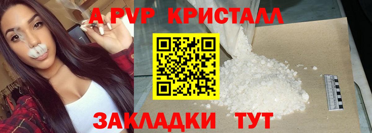 A PVP СК КРИС Саранск