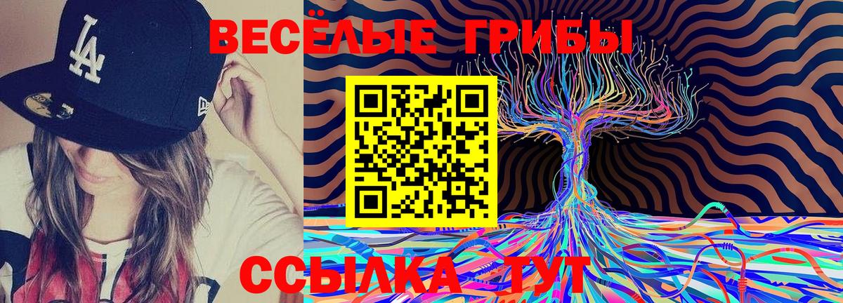 Псилоцибиновые грибы мицелий Саранск