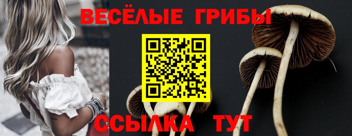 Саранск  Галлюциногенные грибы Magic Shrooms  что такое   Вход с VPN  Галлюциногенные грибы GOLDEN TEACHER 